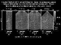  * Experiment with an ATS539 Tissue Mimicking Phantom - Wire Targets * 